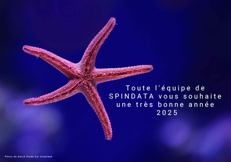 bonne année 2025 !